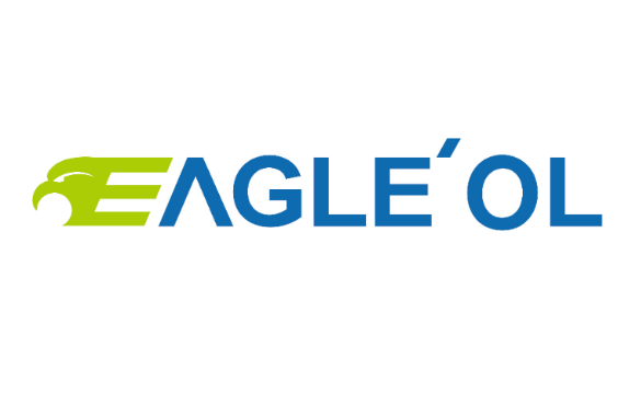 Shenzhen Eagle-Eye Online Electronic Technology Co., Ltd. (EAGLE' OL)